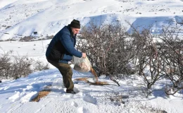 Erzurum’da Karlı Araziye Yem Bırakma Çalışmaları