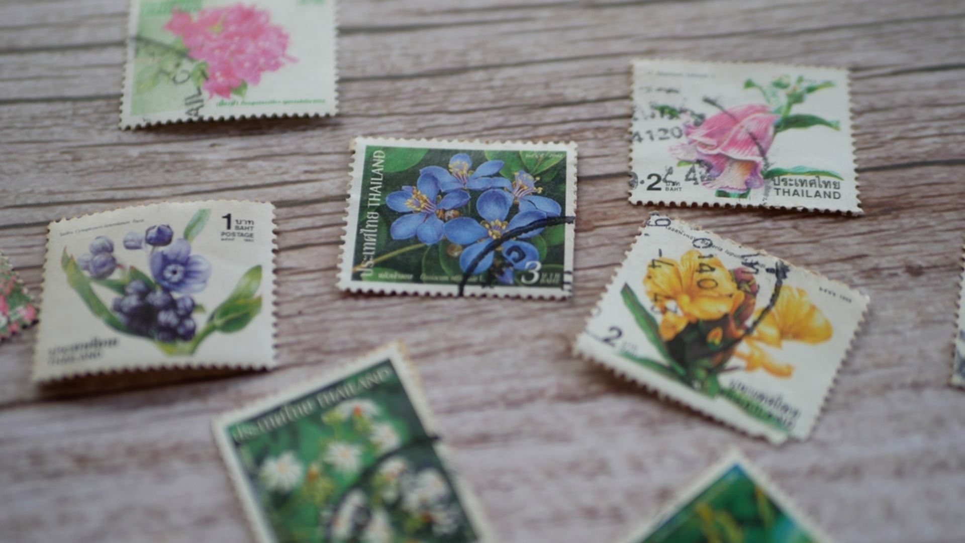 Koleksiyonculuğa başlamak için en uygun ürünler