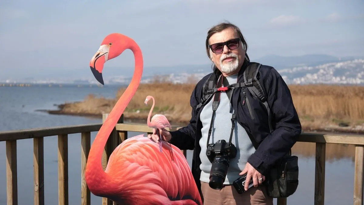İzmit Körfezi’nde flamingo şöleni: 430 flamingo gözlemlendi!